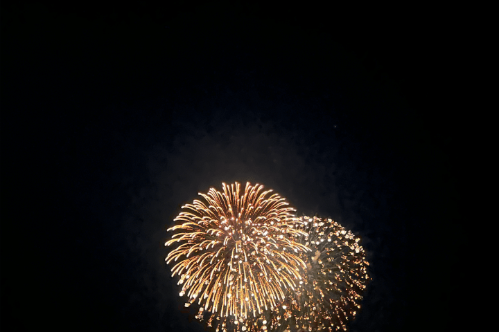 fireworks exploding in the dark