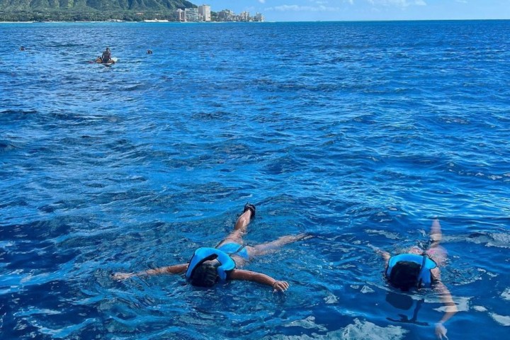 a group of people swimming in a body of water